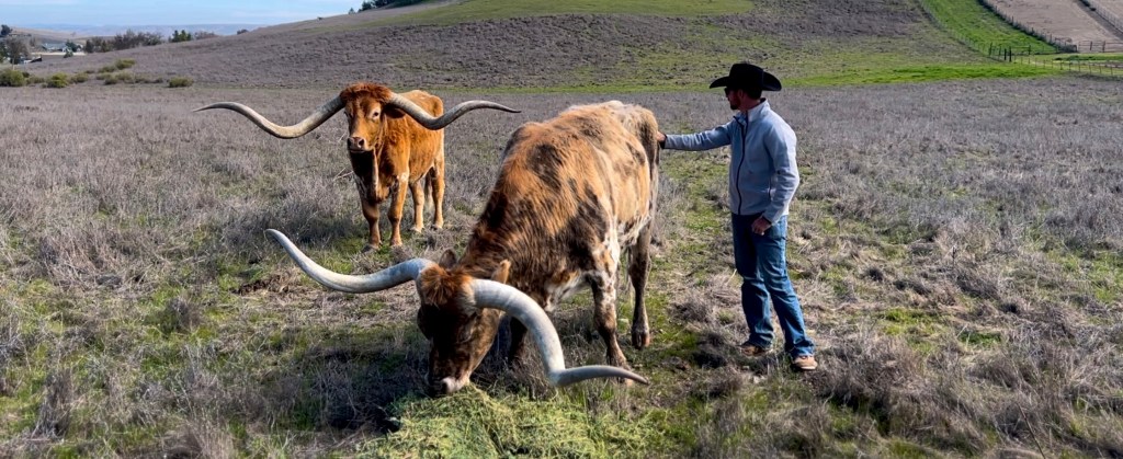 On-site or Off-site Management of Livestock & Animal Rentals for Film/Media Production in California.