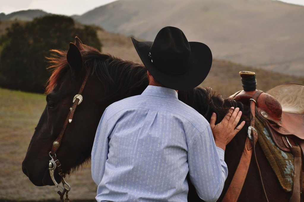 As your order buyer, Tanner Dye Livestock is responsible for purchasing livestock on behalf of Clients, Farmers, Ranchers and Livestock Producers.